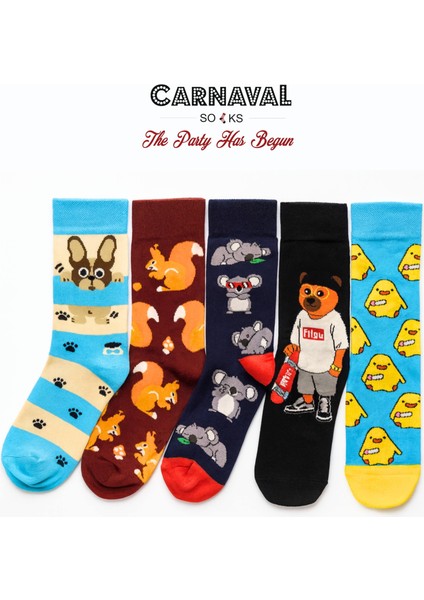 5’li Sevimli Hayvan Desenli Renkli Kutulu Çorap Seti modelleri