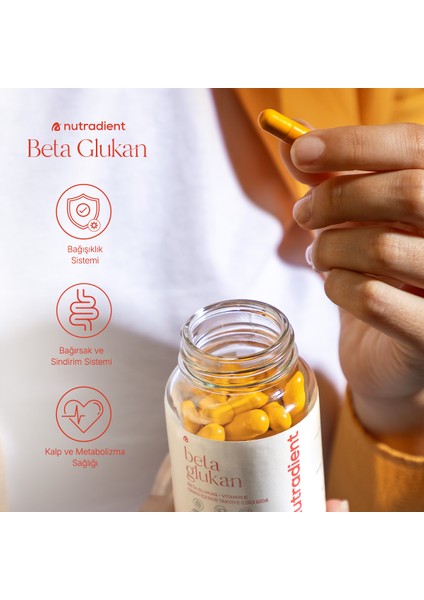 Beta Glukan modelleri