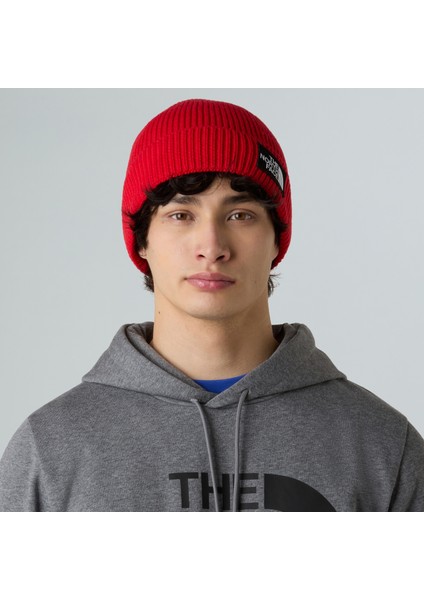 Tnf Logo Box Cuffed Bere NF0A8CHE6821 fiyatları