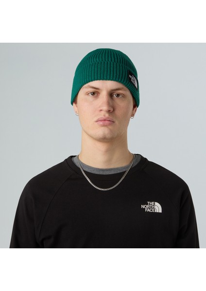 Tnf Logo Box Cuffed Bere NF0A8CHENL11 fiyatları