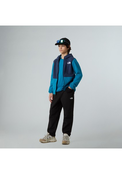 Teen Glacıer 1/4 Fermuarlı Genç Çocuk Glacier Polar NF0A8CVFDDI1 fırsatları