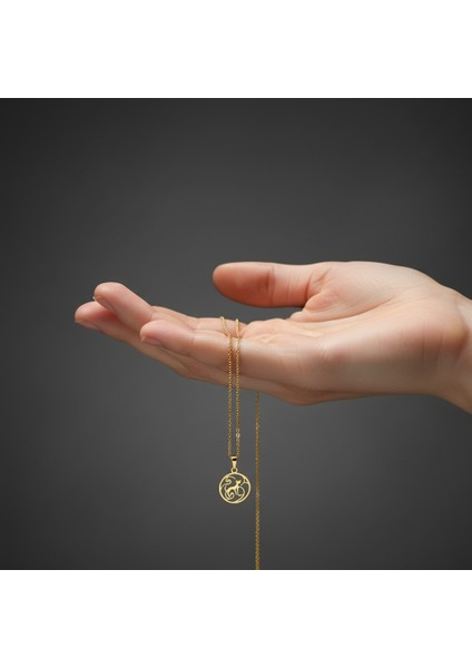 14 ayar altın kolye kedi GM578 1 gr fiyatları