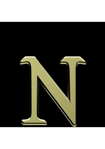 14 Ayar Altın Kolye Ucu "N"harfi GM676 1 gr fırsatları