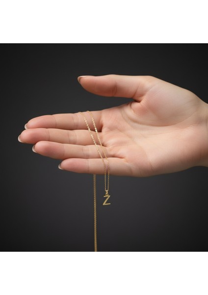 14 Ayar Altın Kolye Ucu "z"harfi GM705 0.5 gr fiyatları