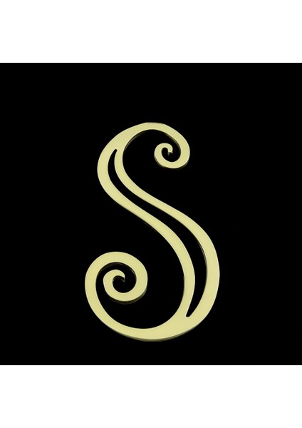 Tabitela 8 Ayar Altın Kolye Ucu "s"harfi GM654 0.5 gr fırsatları