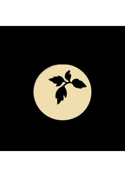 Tabitela 8 Ayar Altın Kolye Ucu Yaprak GM1169 1 gr fırsatları