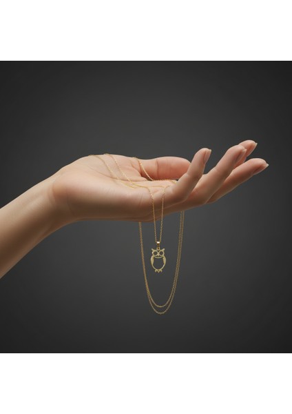 14 Ayar Altın Kolye Ucu baykuş GM319 1 gr fiyatları