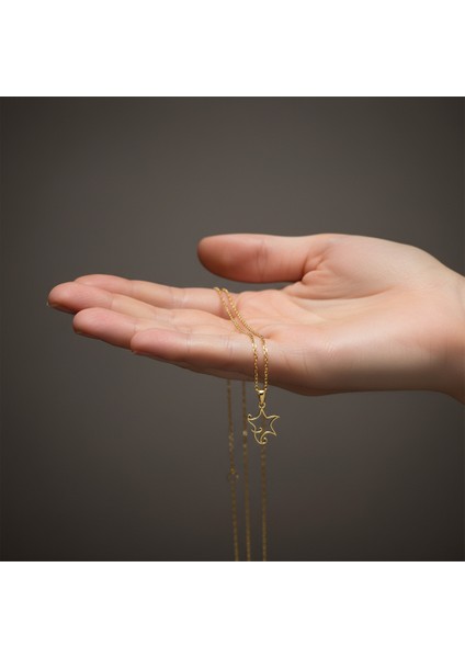 14 Ayar Altın Kolye Ucu yıldız GM777 1 gr fiyatları