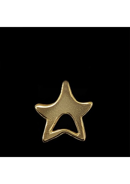 14 Ayar Altın Kolye Ucu yıldız GM781 1 gr fırsatları