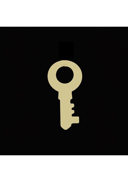 14 ayar altın kolye anahtar GM210 1 gr fırsatları