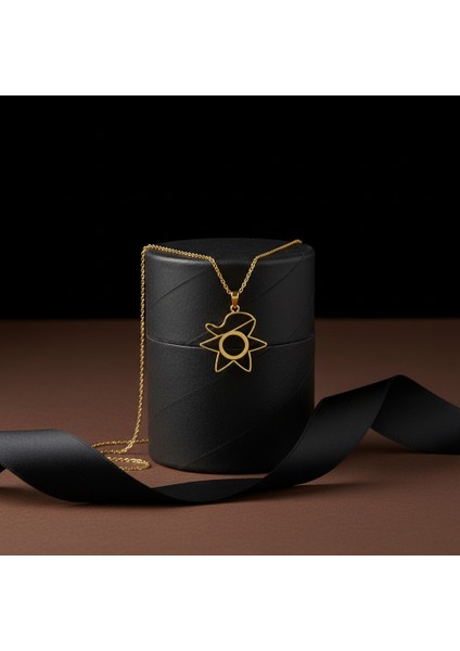 14 Ayar Altın Kolye Ucu Gramofon Plakası GM4674 1 gr modelleri