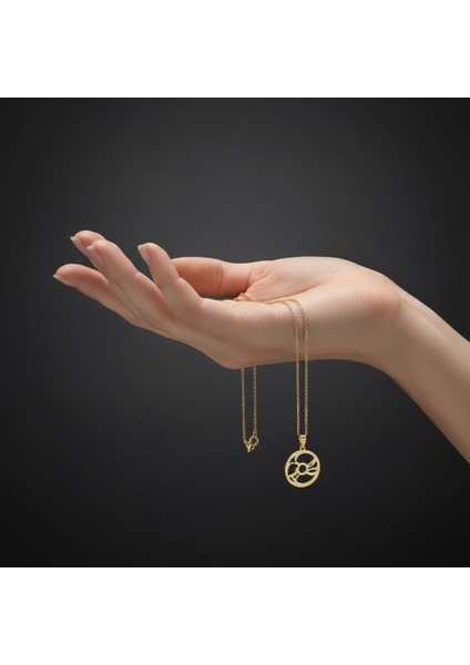 14 Ayar Altın Kolye Ucu Gramofon Plakası GM4655 1 gr fiyatları