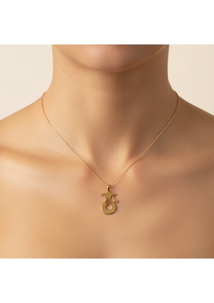 14 Ayar Altın Kolye Ucu Gramofon Plakası GM4669 1 gr