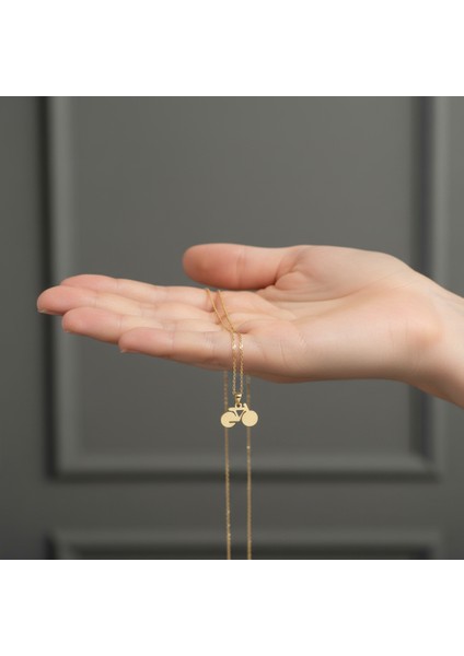 14 Ayar Altın Kolye Ucu Bisiklet GM4490 0.5 gr fiyatları