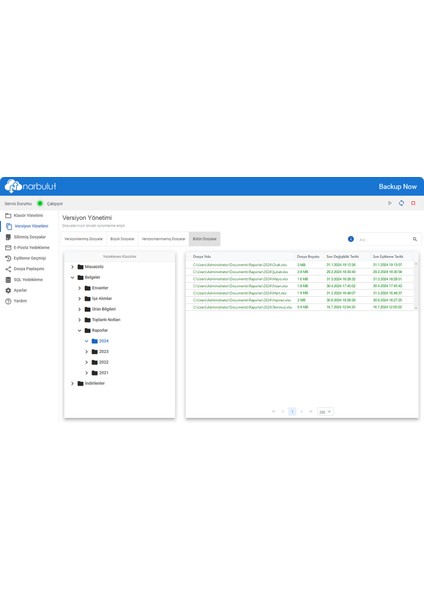 Narbulut Professional 25GB 1 Yıl Bulut Yedekleme Programı