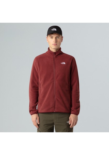 Erkek Glacier Tam Boy Fermuarlı Polar NF0A8D0R0VO1