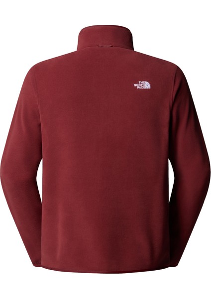 Erkek Glacier Tam Boy Fermuarlı Polar NF0A8D0R0VO1 fiyatları