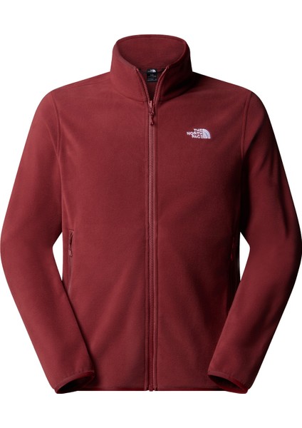 Erkek Glacier Tam Boy Fermuarlı Polar NF0A8D0R0VO1 modelleri