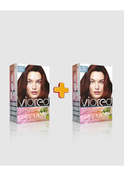 2'li Set Boya 4.6 Kestane Kızılı