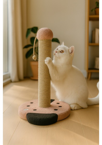 Pet Uğur Böceği Kedi Tırmalama Platformu Pembe modelleri