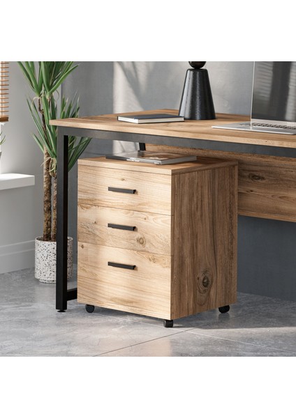 Ksn1 Ofis Kesonu - Çam