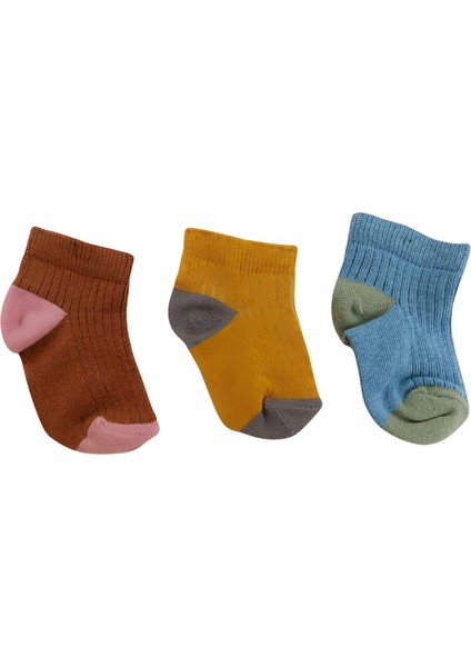 Renkli Desensiz Bebek Çorap Seti (3'lü) – 6-12 Ay / 12-24 Ay