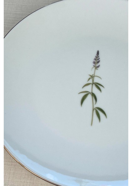 Porselen Natura Salkım Altın Yaldız Servis Tabağı 24,50CM 4 Lü fırsatları