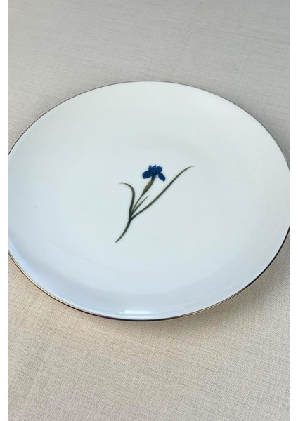 Porselen Natura Karma Altın Yaldız Servis Tabağı 24,50CM 6 Lı fırsatları