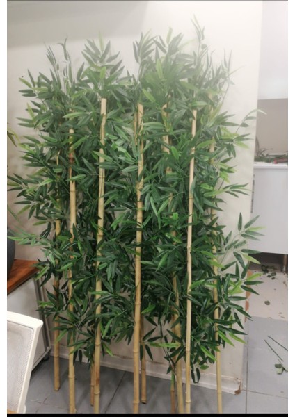 150 Cmboyunda 15 Islak Yapraklı Bambu