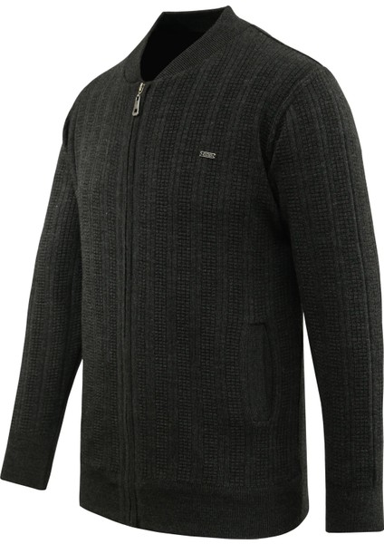 Erkek Büyük Beden Astarlı Triko Mont Hakim Yaka Çelik Örgü Desenli Klasik Kalıp - 5209TB fiyatları