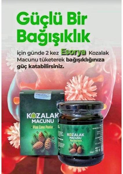 Kozalak Macunu Çam Kozalağı Özü 240 gr fiyatları