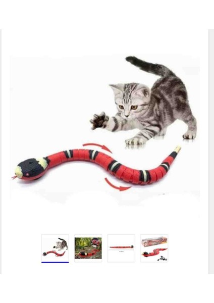 Pıllì Hareketlı Yılan Evcıl Hayvanlar Ìçın