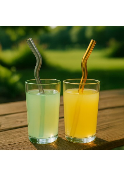 Renkli Cam Pipet ve Fırça Seti - 4'lü