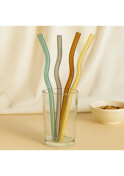 Renkli Cam Pipet ve Fırça Seti - 4'lü modelleri