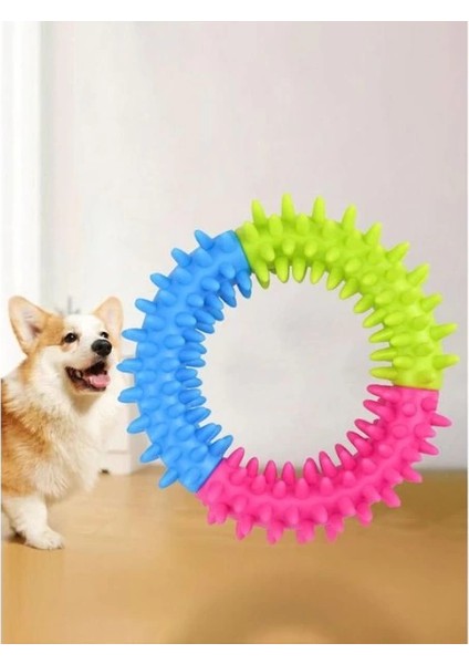 Köpek Isırma Diş Kaşıma Çemberi fiyatları