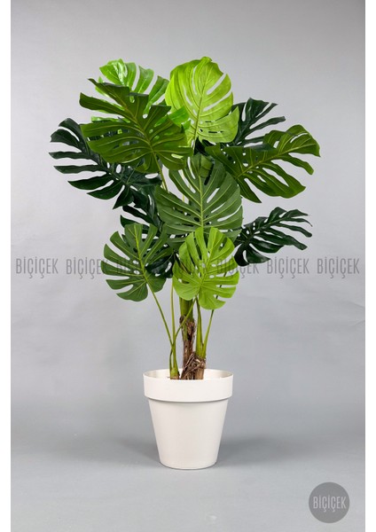 Yapay Ağaç Monstera Bambu Gövdeli 150CM Devetabanı Ağacı Büyük Boy Kırıkbeyaz Renk Yalı Saksıda