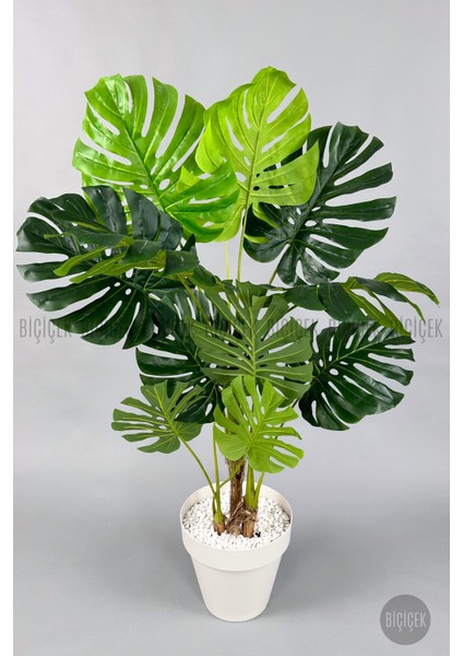 Yapay Ağaç Monstera Bambu Gövdeli 150CM Devetabanı Ağacı Büyük Boy Kırıkbeyaz Renk Yalı Saksıda modelleri