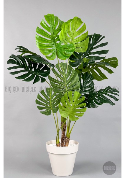 Yapay Ağaç Monstera Bambu Gövdeli 150CM Devetabanı Ağacı Büyük Boy Kırıkbeyaz Renk Yalı Saksıda fırsatları