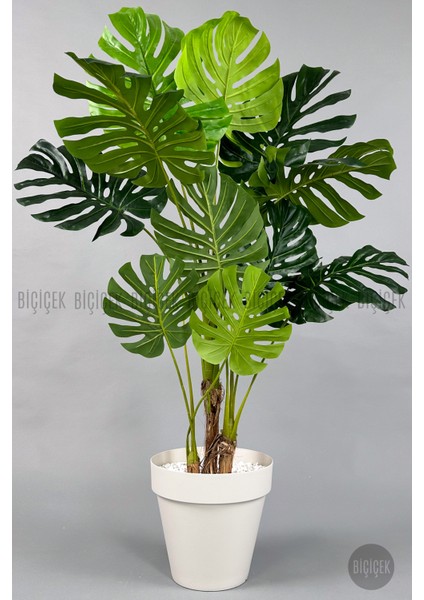 Yapay Ağaç Monstera Bambu Gövdeli 150CM Devetabanı Ağacı Büyük Boy Kırıkbeyaz Renk Yalı Saksıda
