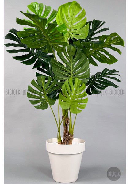 Yapay Ağaç Monstera Bambu Gövdeli 150CM Devetabanı Ağacı Büyük Boy Kırıkbeyaz Renk Yalı Saksıda