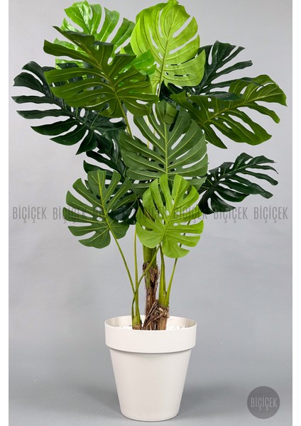 Yapay Ağaç Monstera Bambu Gövdeli 150CM Devetabanı Ağacı Büyük Boy Kırıkbeyaz Renk Yalı Saksıda