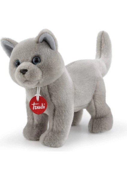 Peluş Cat Celestino 25 cm fiyatları