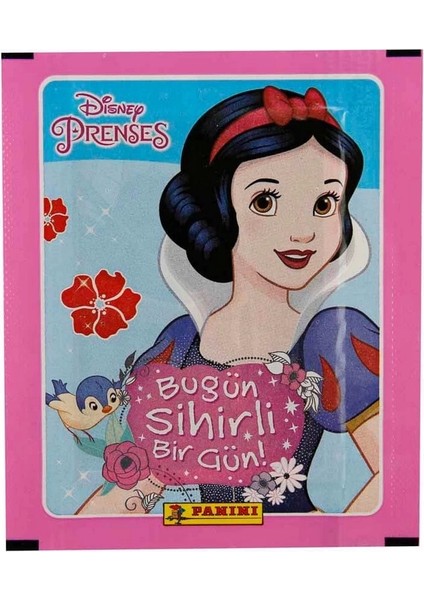 Disney Princess Çıkartma Kartları fiyatları