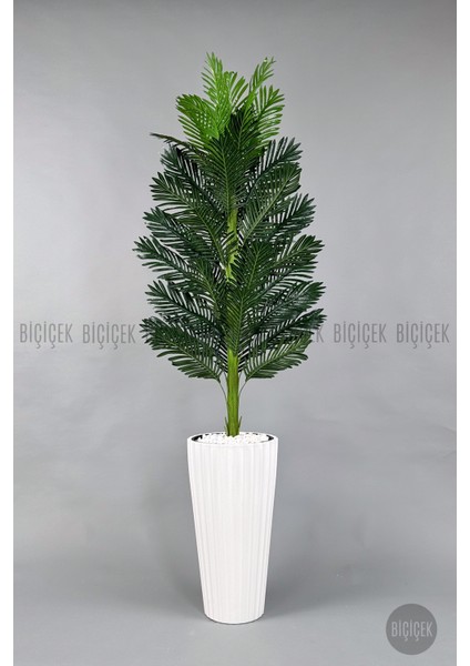 Yapay Areka Ağacı Büyük Boy Palmiye Ağacı Dekoratif Kumsal Beyaz Renk Saksıda fırsatları