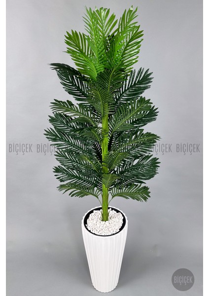 Yapay Areka Ağacı Büyük Boy Palmiye Ağacı Dekoratif Kumsal Beyaz Renk Saksıda