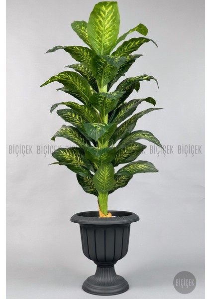 Yapay Ağaç Difenbahya Bambu Gövdeli 200CM Büyük Boy Antrasit Renk Nergis Saksıda modelleri