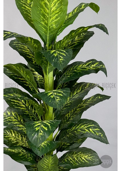 Yapay Ağaç Difenbahya Bambu Gövdeli 200CM Büyük Boy Antrasit Renk Nergis Saksıda