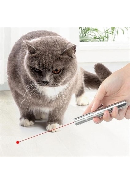 Buffer® USB Ile Şarj Edilebilen 3ın 1 Kırmızı Işık +Beyaz LED Meşale Işık + Uv El Feneri Kedi Lazeri