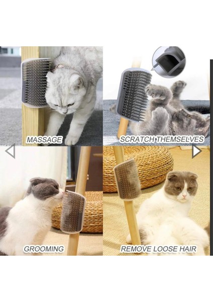 Kedi Kaşınma Masajlı Tüy Tarama Catnipli Köşe Kenar Fırça Cat It indirimleri