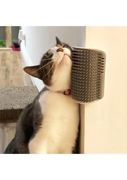Kedi Kaşınma Masajlı Tüy Tarama Catnipli Köşe Kenar Fırça Cat It